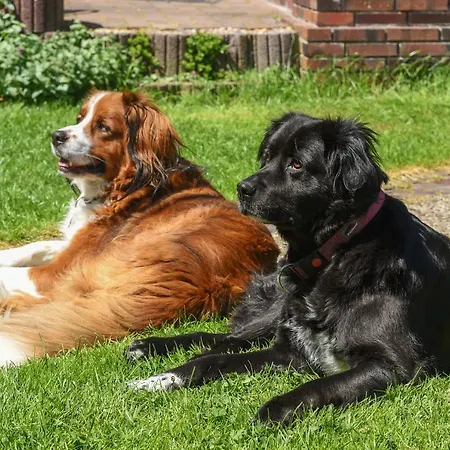 Deich In Sicht דירה